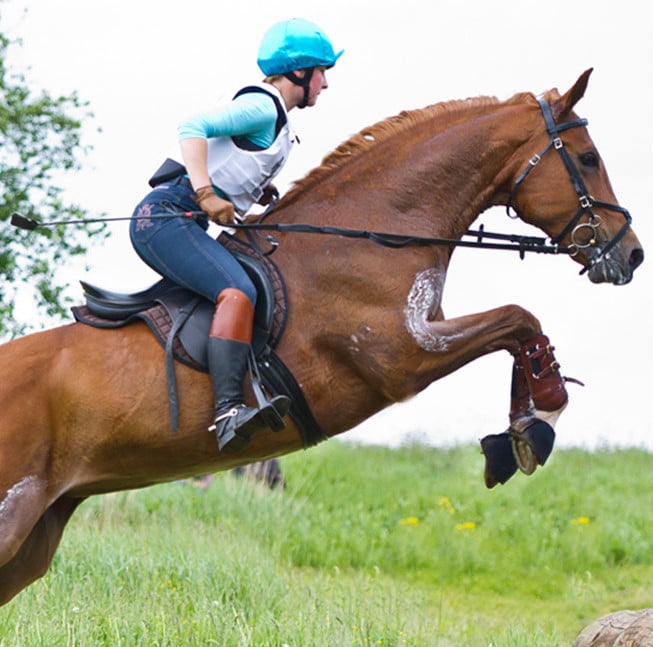 Horse with store rider